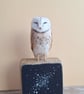 Oak Block - Barn Owl - Image 6