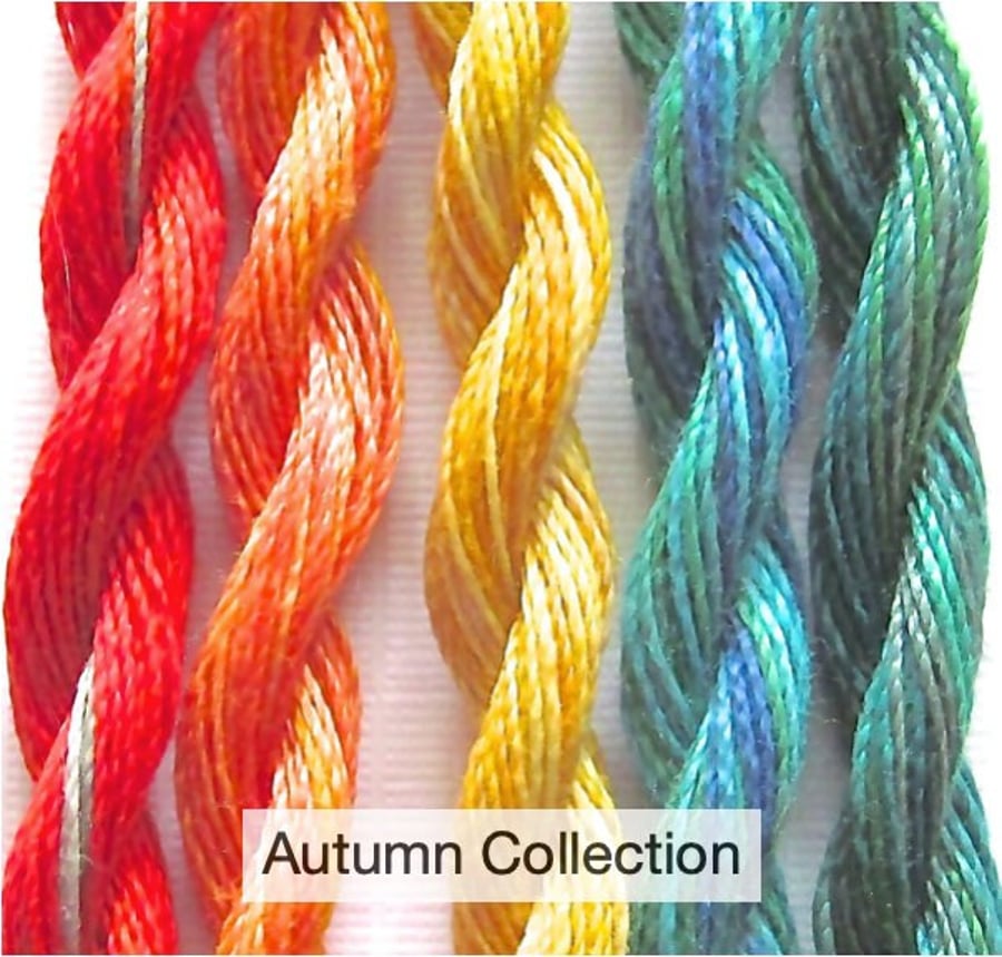 Fine Perle 16 Variegated Embroidery Thread - Autumn