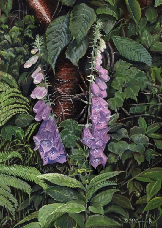  ORIGINAL - Foxglove