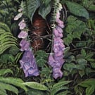  ORIGINAL - Foxglove