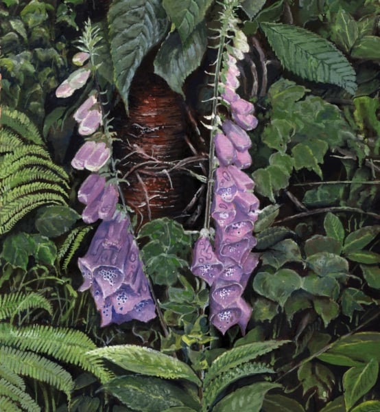  ORIGINAL - Foxglove