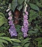  ORIGINAL - Foxglove - Image 1