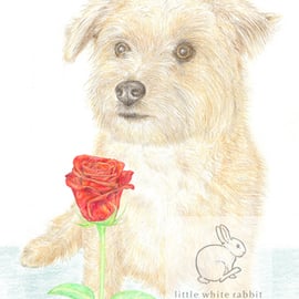 Muffin the Little Dog - Valentine Card