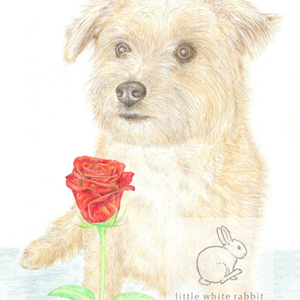 Muffin the Little Dog - Valentine Card