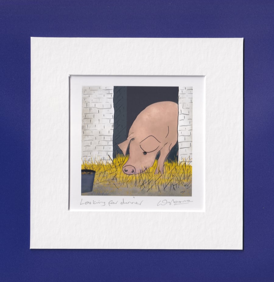 Looking for dinner - print from digital illustration of a pig