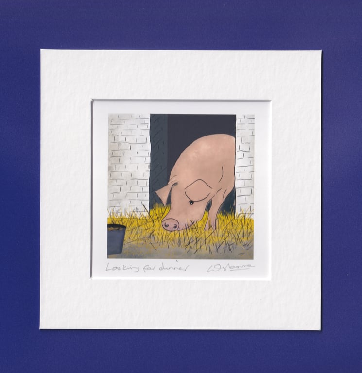 Looking for dinner - print from digital illustration of a pig