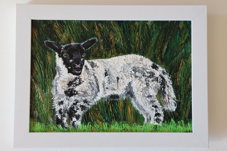 Fermanagh Lamb Acrylic Painting
