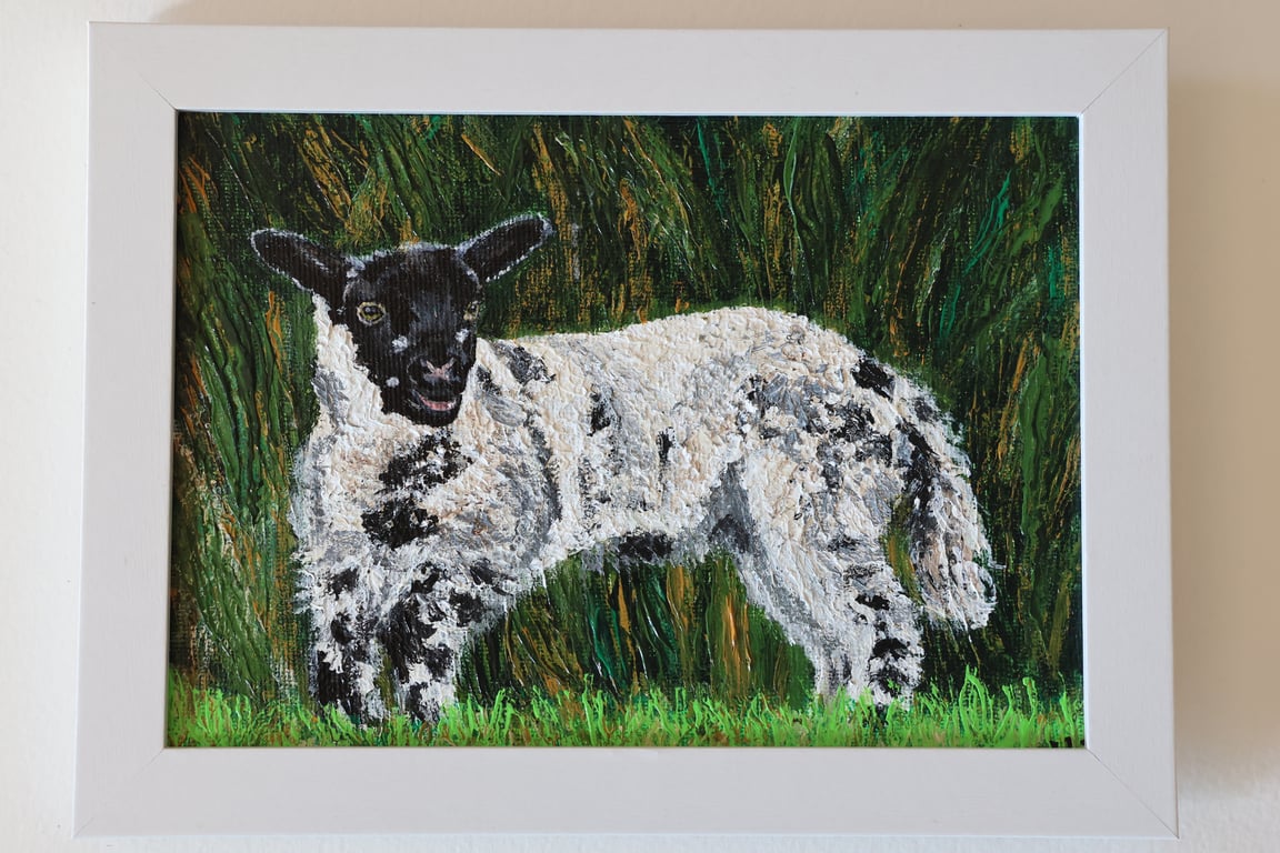 Fermanagh Lamb Acrylic Painting