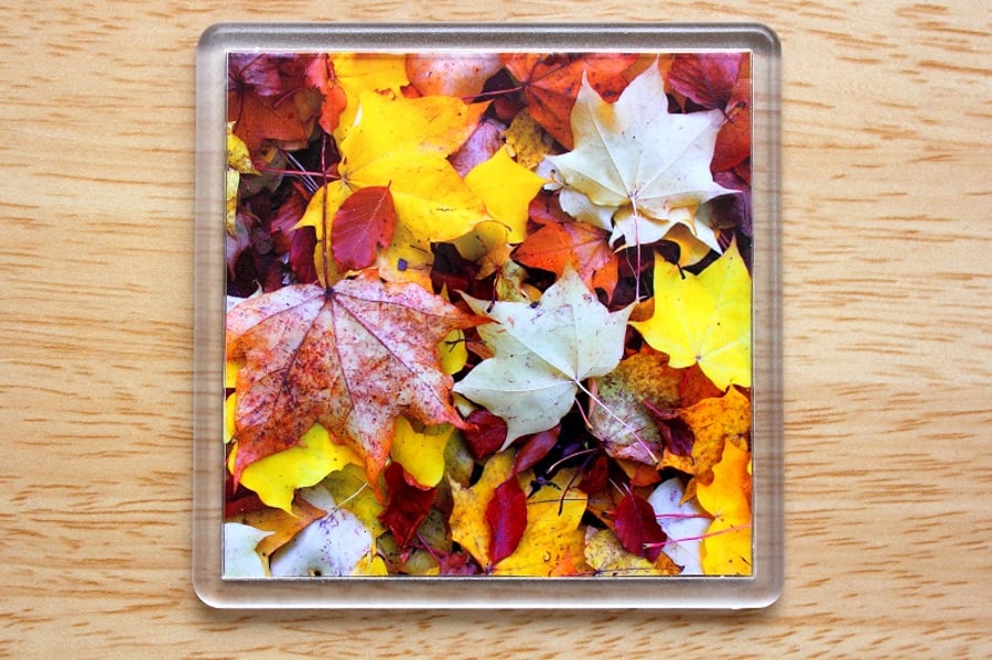 Autumn Leaves (Single Drinks Coaster)