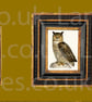 Owl Fine Art Lampshade - Owl Print Classic Lampshade  - Image 4