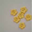 6 pale yellow flower buttons.