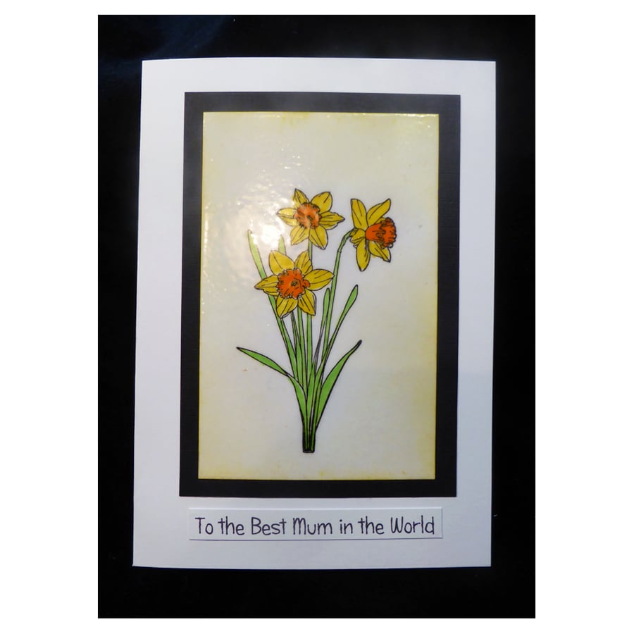 Daffodils for Mum (MD454)