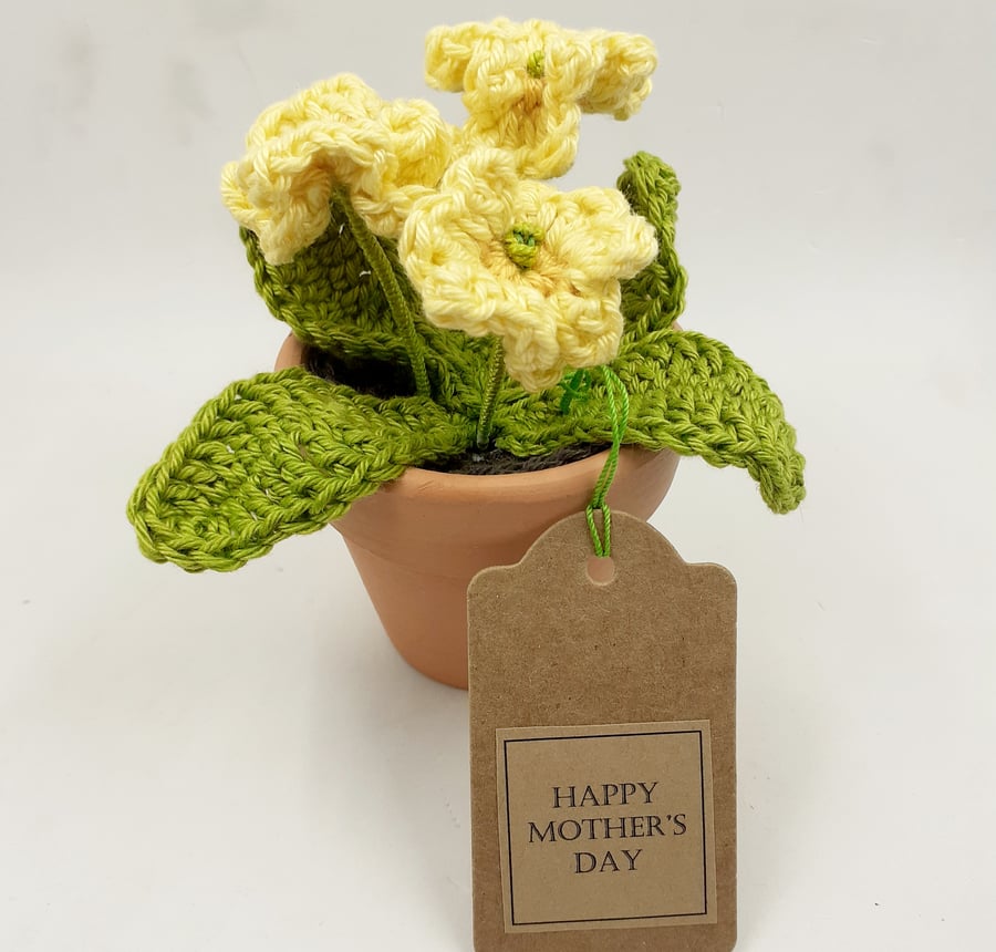 Small Crochet Primrose in a Terracotta Pot - Alternative to a Card 