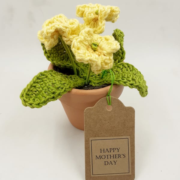 Small Crochet Primrose in a Terracotta Pot - Alternative to a Card 
