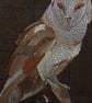Embroidered Barn owl wall art framed 
