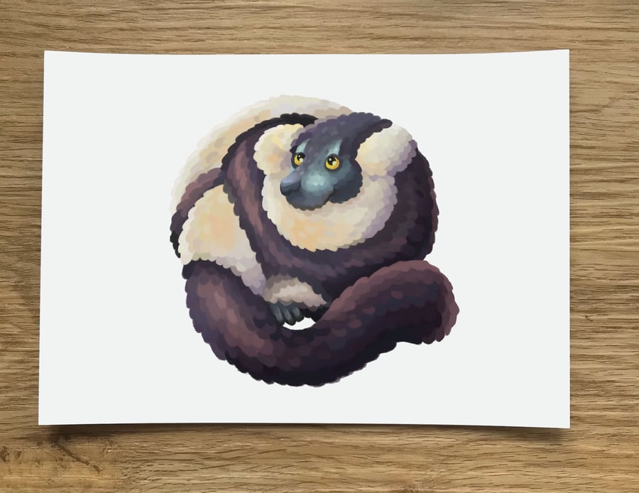 A6 Black and White Ruffed Lemur Post Card (White Background)