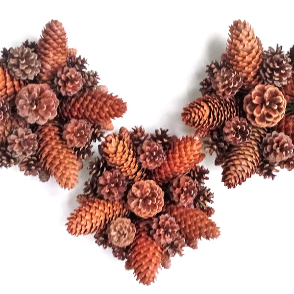 Christmas Wreath or Table centrepiece 'Make It Yourself' KIT