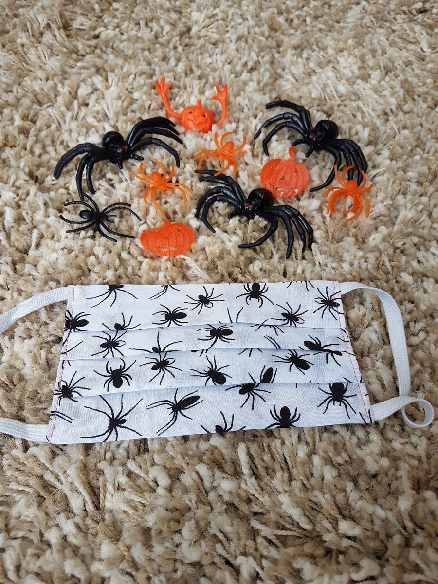Halloween Child face covering – Spider print
