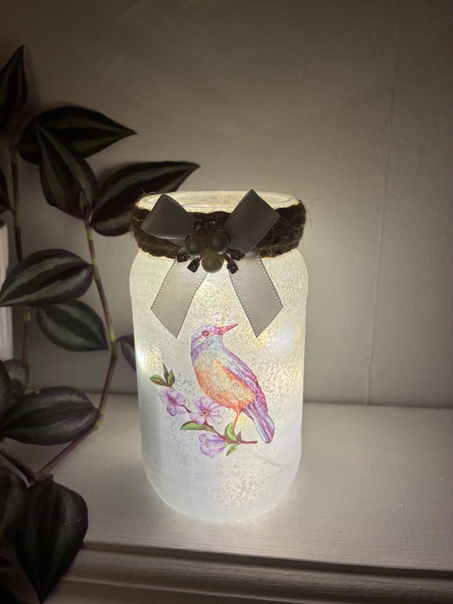Lovely bird light jar, fairy lights, Christmas gift, present