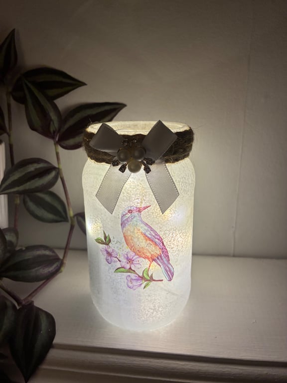 Lovely bird light jar, fairy lights, Christmas gift, present