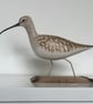 Small curlew - Image 1