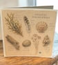 Coastal Discoveries Handmade Greeting Card – Beach Finds Card. Seaside Nature - Image 6