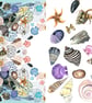 A Rockpool Sea Shore Birthday Card - Image 3