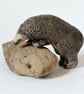 Climbing Hedgehog 2 of 2 - Image 10
