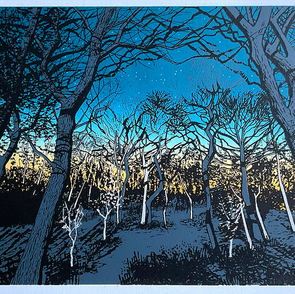 Night trees original screen print - test prints