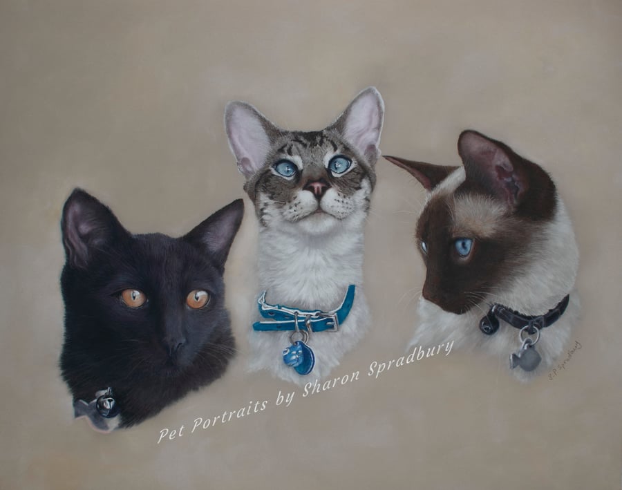 Pet Portrait Commissions