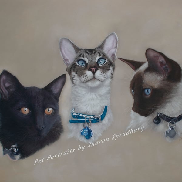 Pet Portrait Commissions