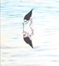 Black-winged Stilt Bird  Oil Painting of African Wildlife - Image 1