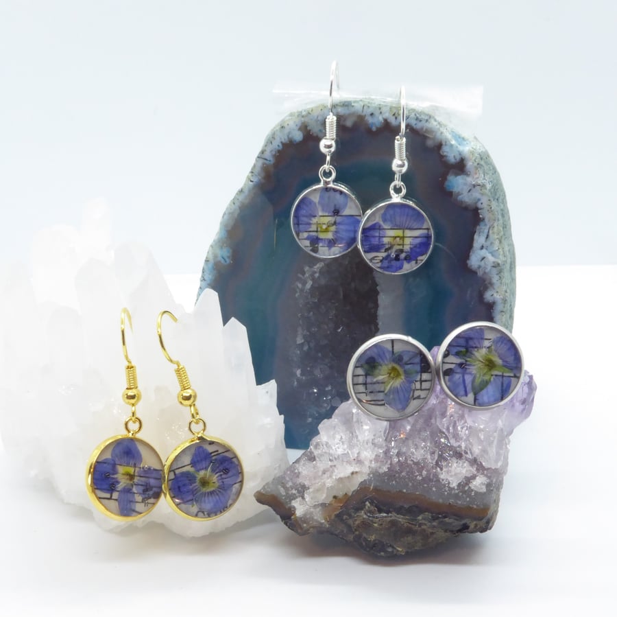 Resin and Northamptonshire Speedwell Flower Earrings 