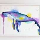 Humpback Whale Giclée Print I Unframed I A4