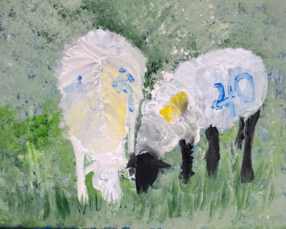 Sheep Fine Art Print