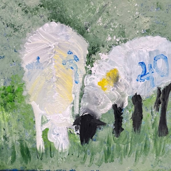Sheep Fine Art Print