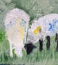Sheep 
