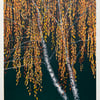 'Autumn Birch' test print