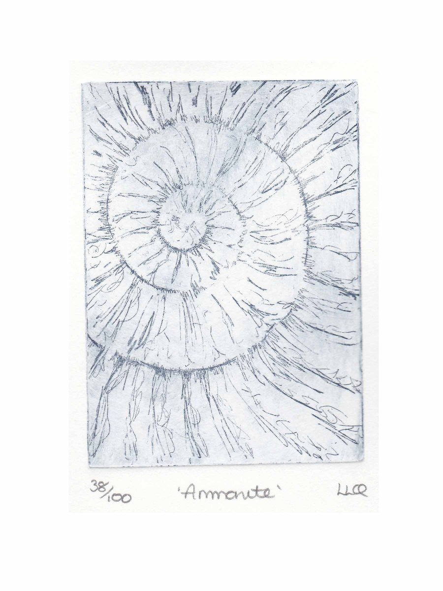 Etching no.38 of an ammonite fossil in an edition of 100