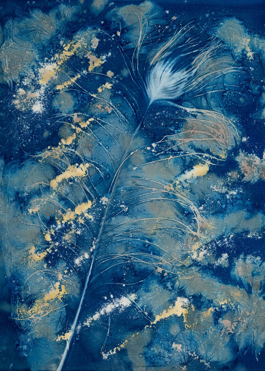 Peacock Feather 1 Cyanotype Card