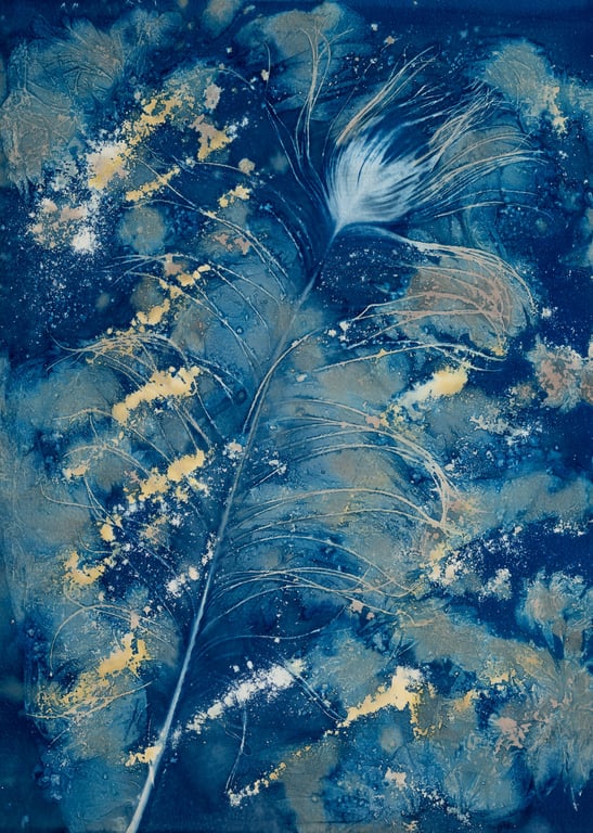 Peacock Feather 1 Cyanotype Card