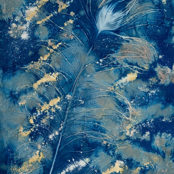 Peacock Feather 1 Cyanotype Card