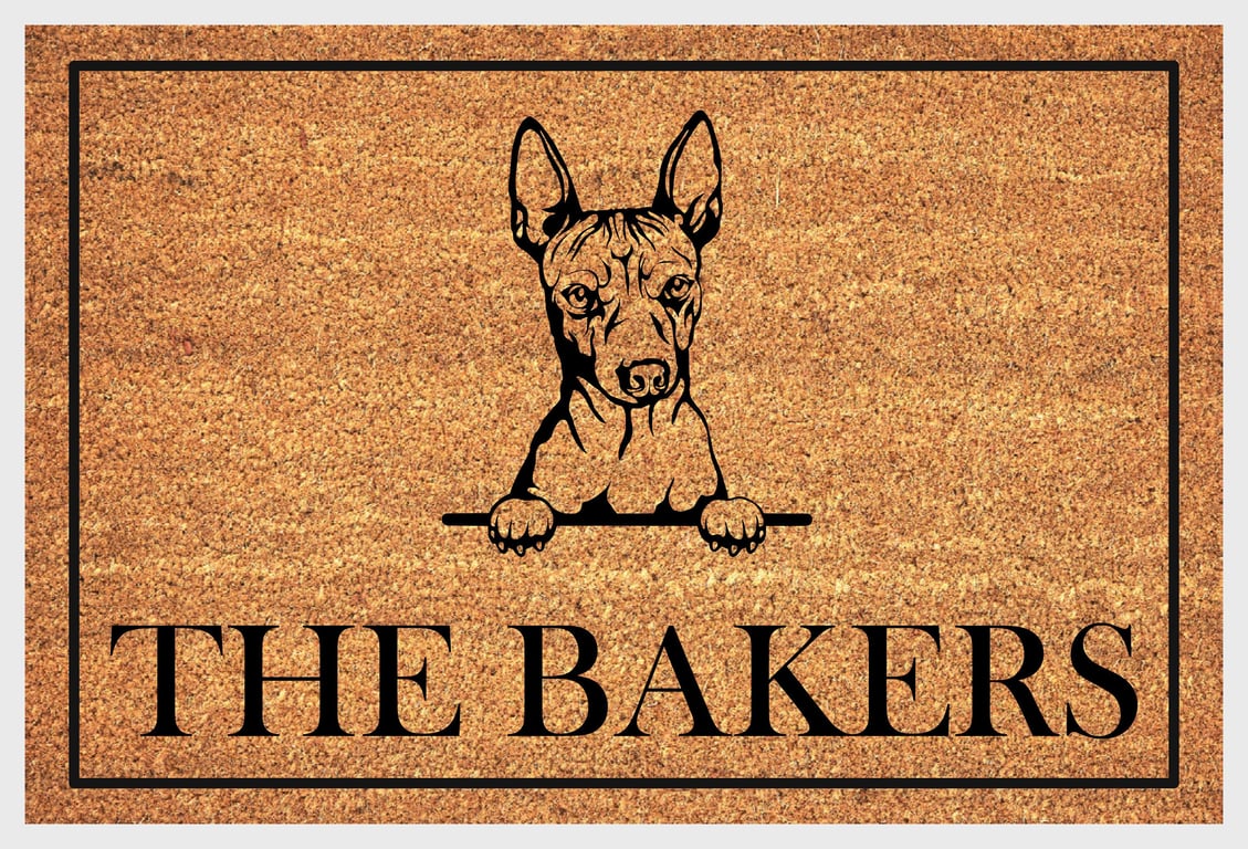 Hairless Terrier Door Mat - Personalised Hairless Terrier Welcome Mat - 3 Sizes