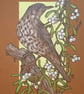 A Mistle Thrush with Mistletoe original drawing, small artwork, bird wall art - Image 6