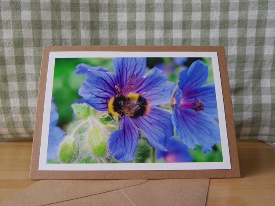 SOLD - Bee on Geraniums Photo Card