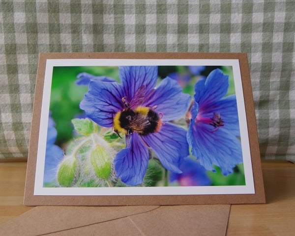 Bee on Geraniums Photo Card