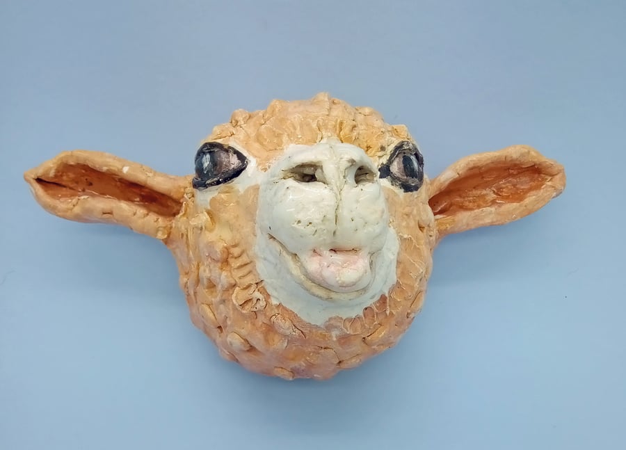 Alpaca Head