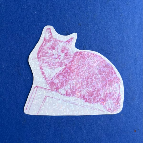 "Midnight Cat" Sticker  - Moments with some Cats in Brighton