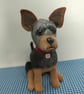 Fully personalised Yorkshire Terrier 