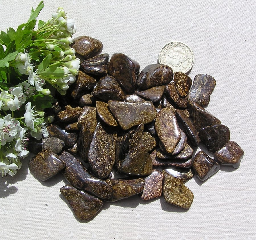 10 Brown Bronzite - Polished Tumblestones, Craft, Mosaic, Grid, Chakra, Favours